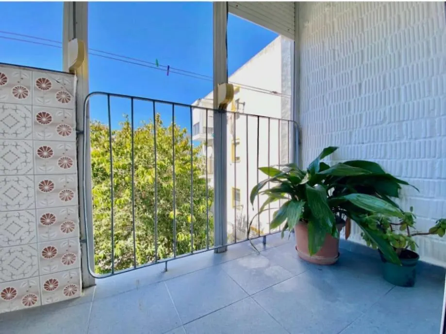 Solea Apartment Jerez de la Frontera Spain